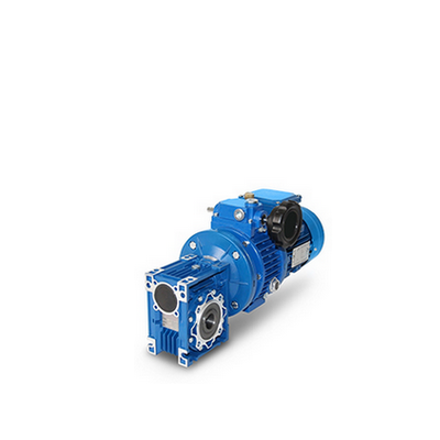 Worm-gear-motors-with-handwheel-speed-control-0.25kW-3.0kW