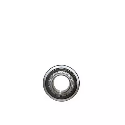 Verstärkte Lagerung Zylinderrollenlager BG160 bis BG315