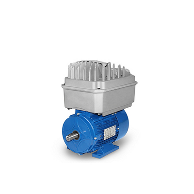 Electric Motor with SMATRdrive Frequency Inverter 0.37kW - 11kW