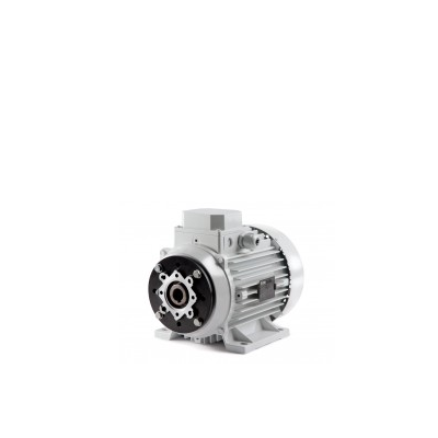 Electric Motors with Hollow Shaft (On request)
