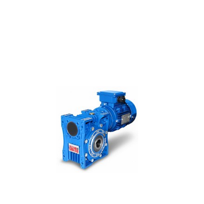 Double worm gear motors 0,06kW - 1,5kW