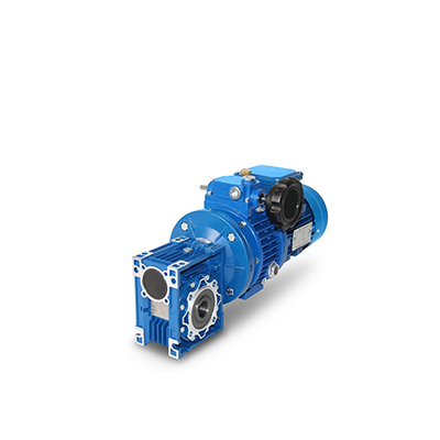 Worm gear motors with handweel speed control 0,25kW - 3,0kW